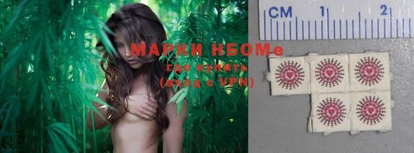 шишки Баксан