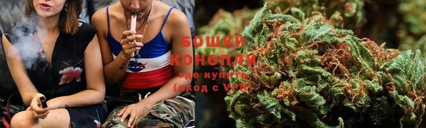 шишки Баксан