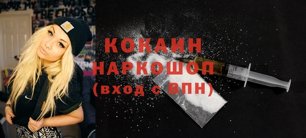 шишки Баксан