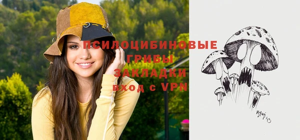 ПСИЛОЦИБИНОВЫЕ ГРИБЫ Балахна